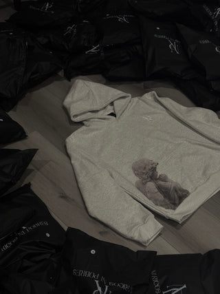 NRNP Logo Grey hoodie